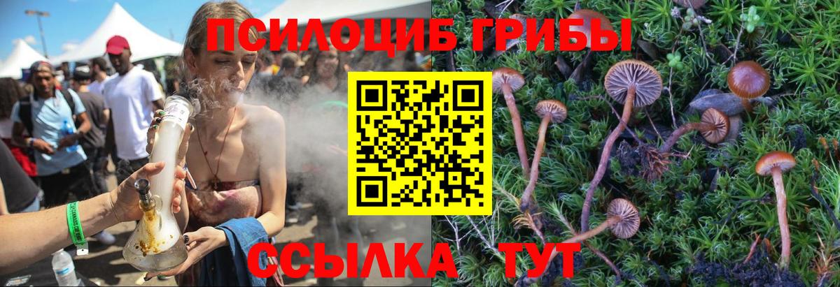 Галлюциногенные грибы мицелий Искитим