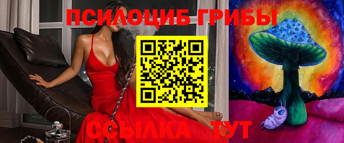 Галлюциногенные грибы Magic Shrooms  Галлюциногенные грибы ЛСД  купить наркоту  Искитим  Вход с VPN 